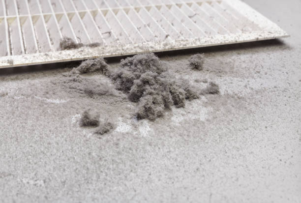 Best HVAC Duct Inspection Services  in Woodinville, WA